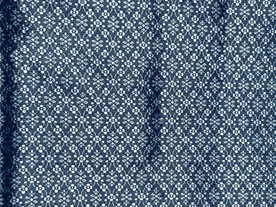 Brocade Fabric Charcoal with slate blue  Floral Jacquard  44" BRO1028[2]