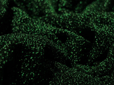Polyester shimmer Lycra fabric ~ 58&quot; wide available in 4 colors red ,navy, green and black [18276/77/78/79]