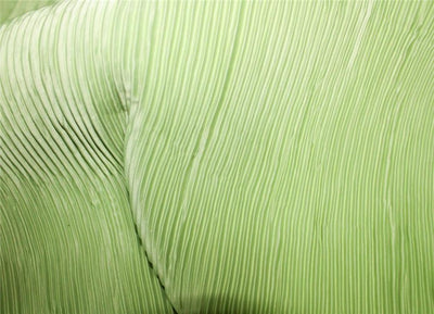 Lime Green color Polyester Pleated Fabric ~ 58'' Wide